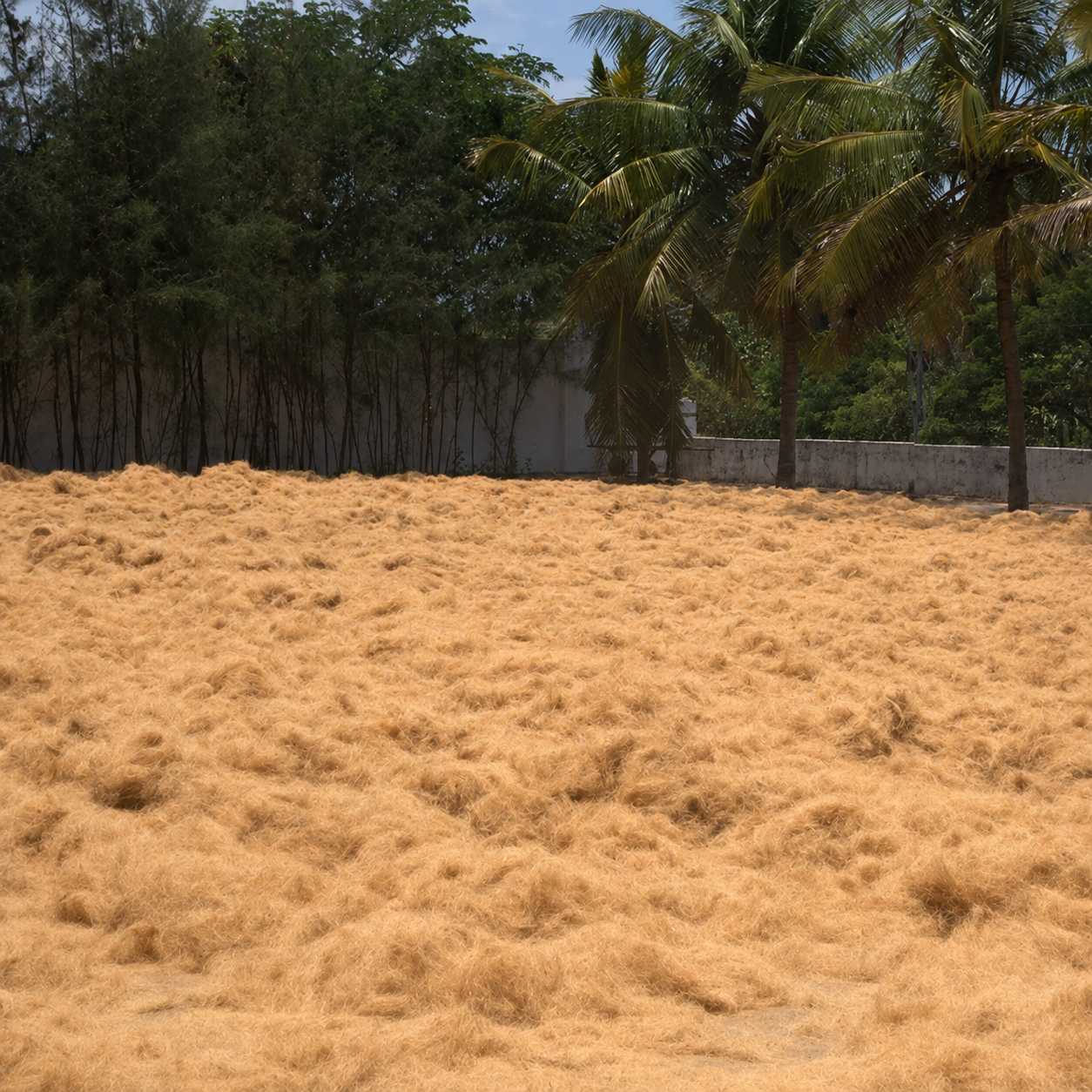 Coir fibre extraction machinery inside the Step Nature facility