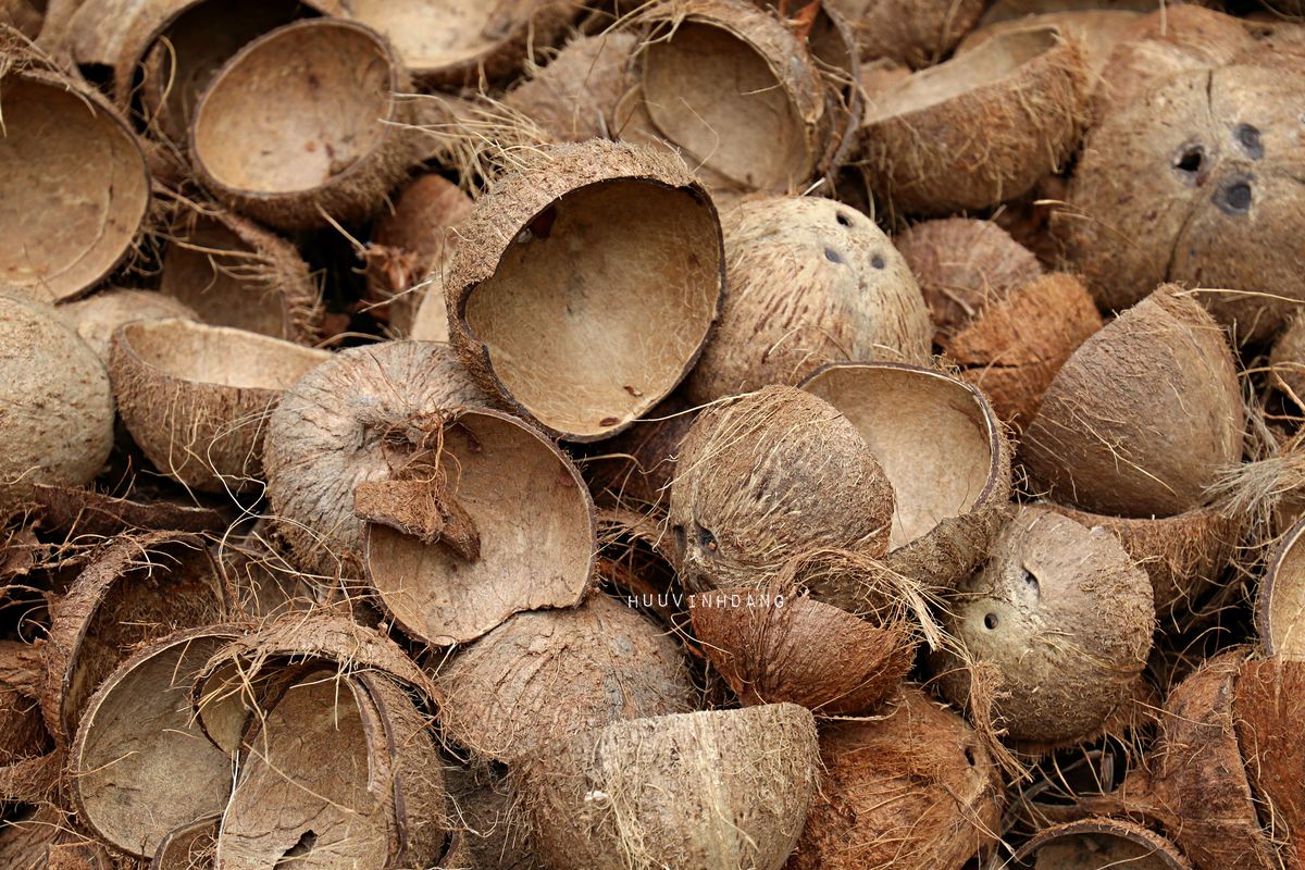 Coconut Shell